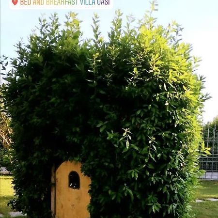 Villa Oasi Сан Джулиано Терме Екстериор снимка