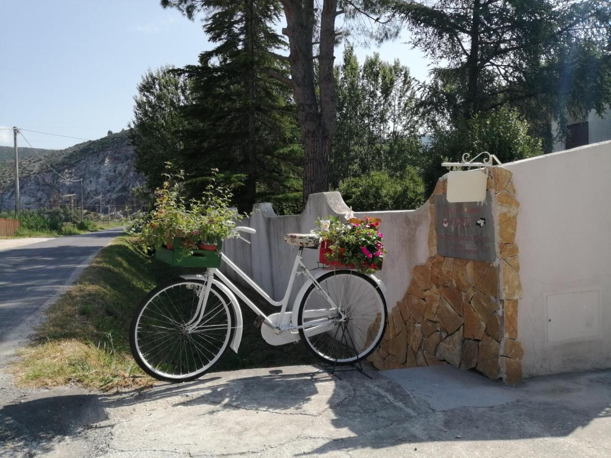 Villa Oasi Сан Джулиано Терме Екстериор снимка